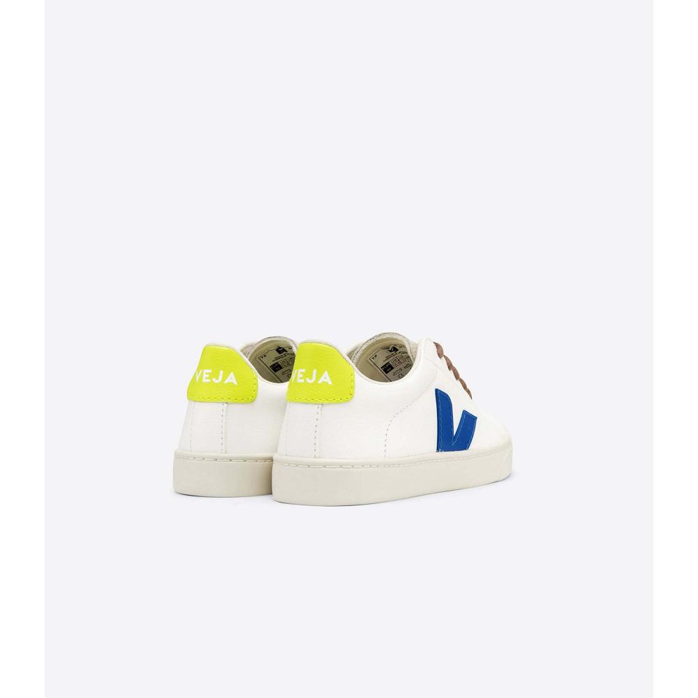 Veja ESPLAR LACES CHROMEFREE Kids' Shoes White/Blue | NZ 733ILH